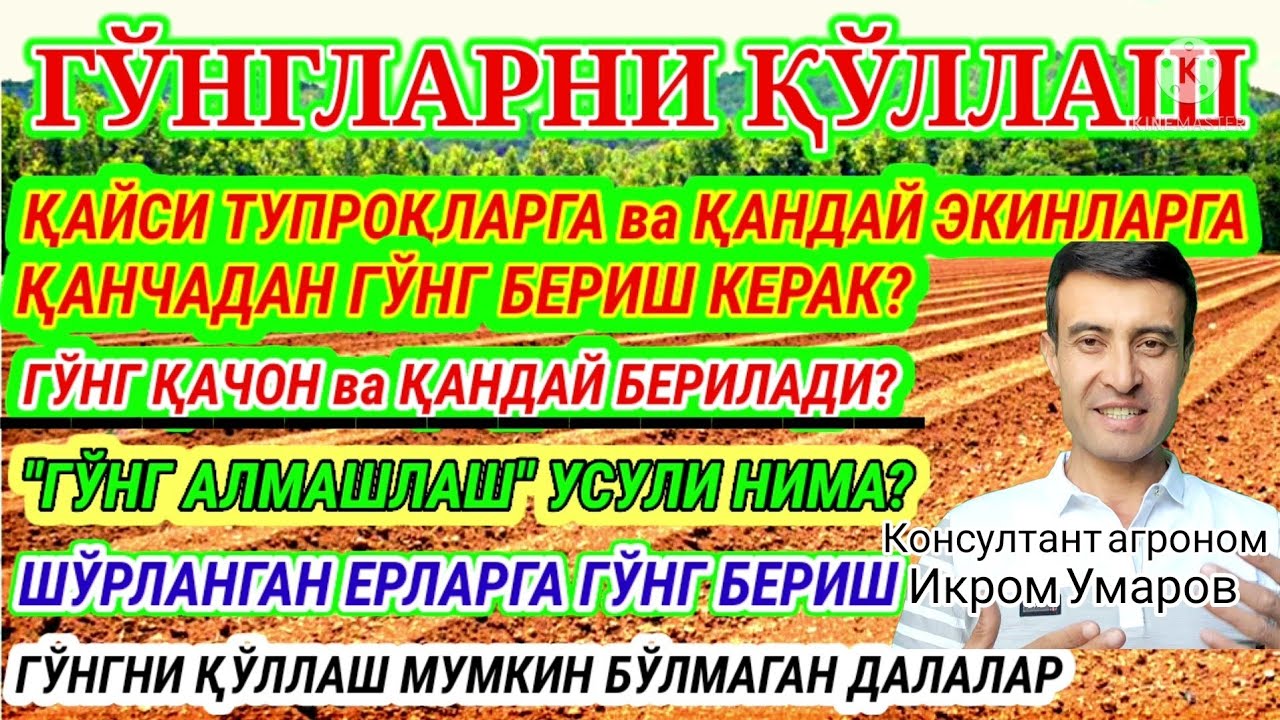 G‘O‘NG‘ BERISH TARTIB-QOIDALARI. 90-son. ГУНГ СОЛИШ ТАРТИБИ