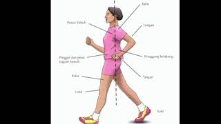 Pengertian jalan dan Lari