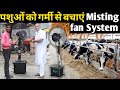 मिस्ट फैन सिस्टम 👉 पशुओं को गर्मी से बचाएं दुध बढ़ाएं || Misting fan System for dairy farm mist fan