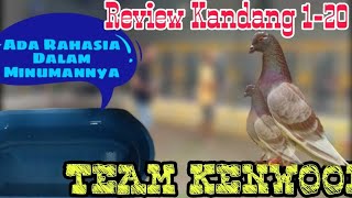 REVIEW KANDANG 1-20 TEAM KENWOOD