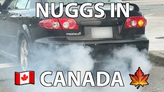 The Great Canadian Nugget Hunt 🇨🇦 - *feat Zip Tie Tuning