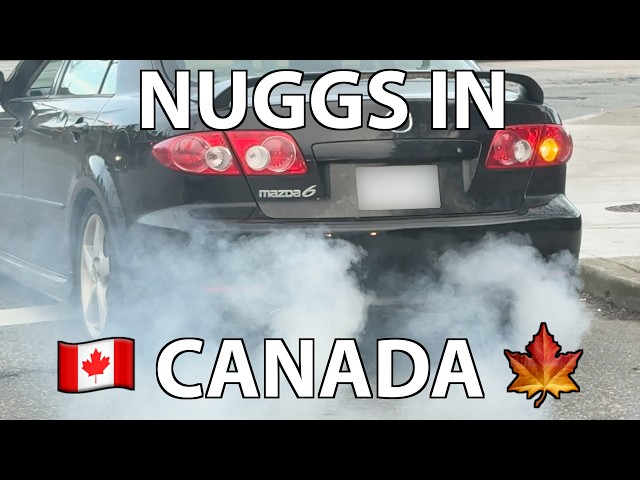 Video: The Great Canadian Nugget Hunt 🇨🇦 - *feat Zip Tie Tuning