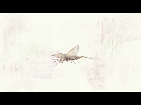 Chiaya - Ephemera『蜉蝣』
