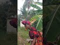 am looking for her sense #bestcomedyskit #comedyvideo #funny #comedymove #funnyskit #funnyface #funn