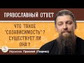 Что такое &quot;созависимость&quot;?  Существует ли она?  Иеромонах Прокопий (Пащенко)