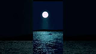 Download Lagu Oh Bulan || Saleem #ohbulan #saleem MP3