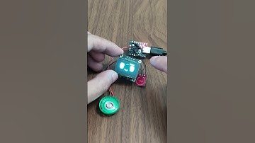 Demo Dasai mochi có cảm biến chạm và âm thanh.