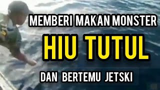 BERTEMU IKAN HIU TUTUL DAN PEMANCING PAKAI JETSKI