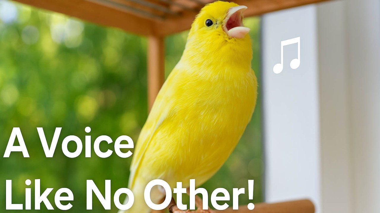 You Won’t Believe How Quickly Your Canary Reacts to THIS!