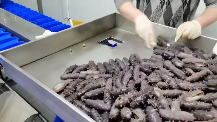 Zhucheng Xindesheng Seafood Weight SorterWith ±0.1g high accuracy, it uses pre sensors 