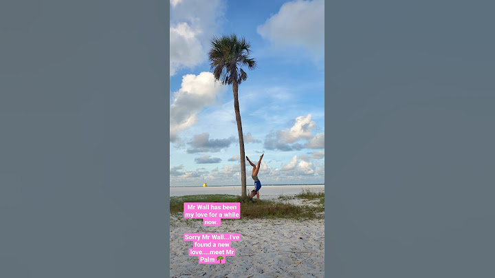 handstands on a palm tree in Siesta Key   #handstand #handbalance #siestakey #beachlife