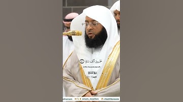 فواتح سورة المعارج_ تلاوة مرئية من صلاة الفجر 27 ربيع الآخر 1446هـ_فضيلة الشيخ بدر التركي_#quran