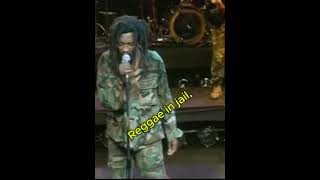 Lucky Dube - Reggae Strong 🔥 The Most Powerful Reggae Anthem Ever! 🇯🇲