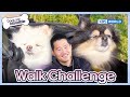 Walk Challenge 🐶🐾 [Dogs are incredible : EP.200-1] | KBS WORLD TV 240103