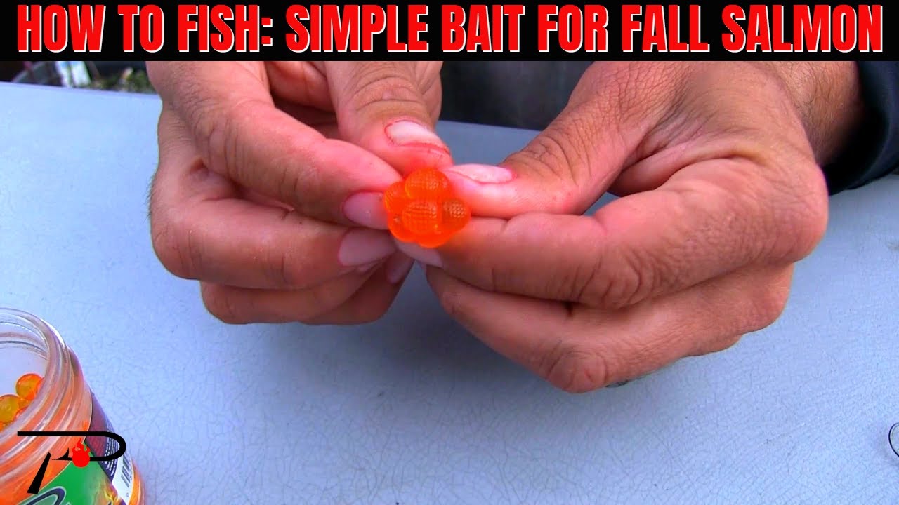 How To Fish: Try This Simple Bait For Fall Salmon 