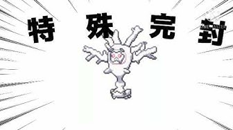 サニゴーン Youtube サニゴーン Youtube