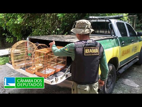 Vídeo do evento a partir de 2:11:53