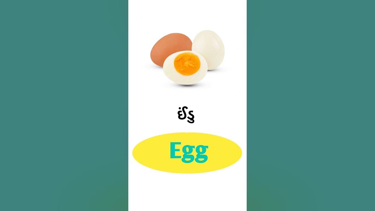 egg-meaning-in-gujarati-english-gujarati-dictionary-youtube