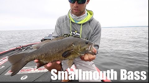 Catching Smallmouth Bass With Brandon Palaniuk
