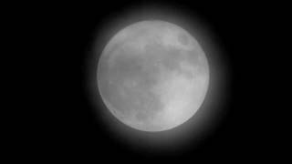 "Bark at the moon" , full moon 14-11-2016