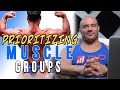Prioritizing Muscle groups