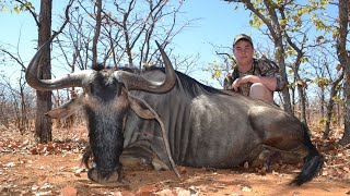 SUPER CLOSE RANGE BLUE WILDEBEEST!