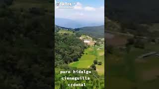 Cieneguilla Cardonal Hidalgo.