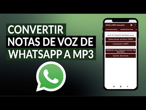 ¿Cómo Convertir Notas de Voz de WhatsApp a MP3 Con y Sin Aplicaciones?