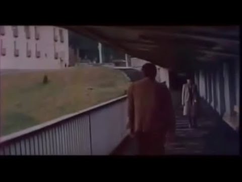 \"მარადისობის კანონი\" - ერთი ნახვით