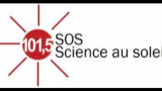 Une Guêpe Insecticide 6 De 6