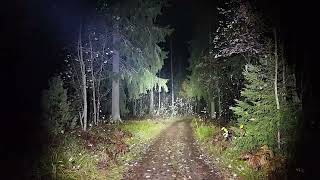 Fenix Tk17 Flashlight 3600Lm