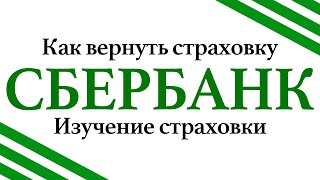 Как вернуть страховку в Сбербанке.  Шаг 2 - изучение страховки Сбербанка.