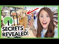 13 SHOPPING SECRETS FROM DOLLAR TREE PROFESSIONAL SHOPPER