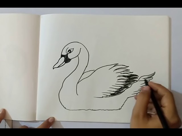 Drawing for Kids: Elephants | Online class | Gifts | ClassBento-saigonsouth.com.vn