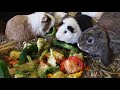 Beginning of video