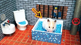 🐹Hamster Escapes from Prison Maze🐹 by The Secret Life of my Hamster 4,788,127 views 7 months ago 10 minutes, 49 seconds