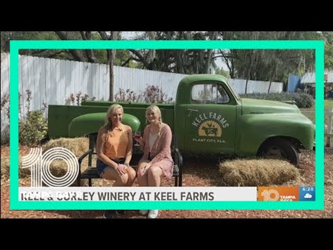 Keel Farms is more than a winery — this working farm is fun for the whole family