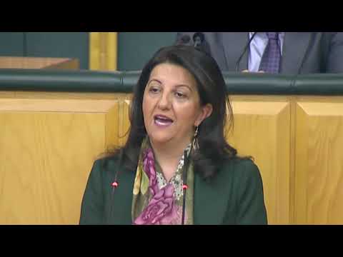 Pervin Buldan: Erdoğan