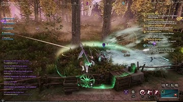 New World - Invisible Enemies - Bug?