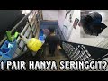 Kedai ikan bawah tanah beli sepasang ikan harga seringgit je  part 2 