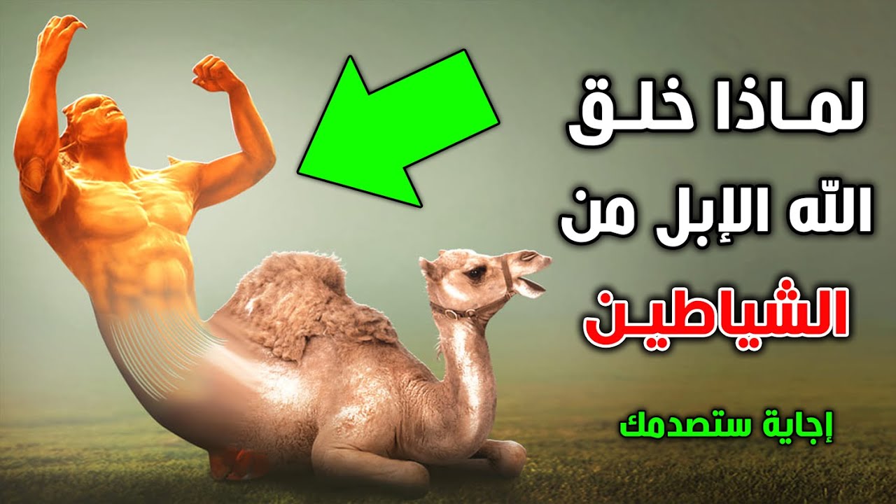 الابل خلقت من الشياطين