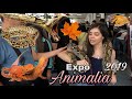 Expo Animalia Otoño 🍂 2019 🦎🐍🐠🐊 LA EXPO DE ANIMALES MÁS GRANDE DE MÉXICO 🇲🇽💜