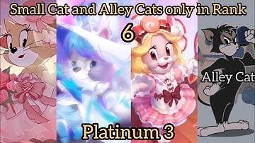 Tom and Jerry Chase CN - Small Cat & Alley Cats only on Rank #6