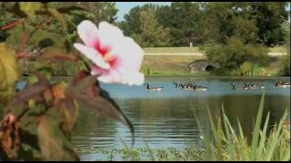 Tour the Garden at Christiana Care's Helen F. Graham Cancer Center