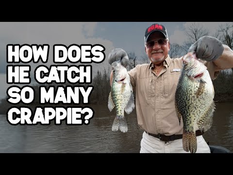 Fishing with a CRAPPIE MASTER, How to CATCH CRAPPIE, Louisiana SAC A LAIT  fishing