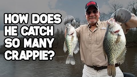 Fishing with a CRAPPIE MASTER | How to CATCH CRAPPIE | Louisiana SAC A LAIT fishing | Crappie Spawn