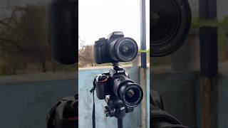 Nikon d3500 vs canon 3000d image quality￼ test photography  ytshorts nikon canon camera shorts