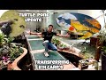 *Transferring My Koi Carps to the Koi Pond* | Koi Pond Update | Turtle Pond Update