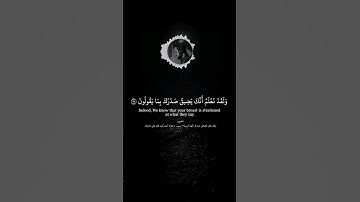ولقد نعلم أنك يضيق صدرك بما يقولون |  سورة الحجر القارئ شريف مصطفى