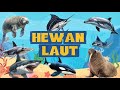 Hewan Laut